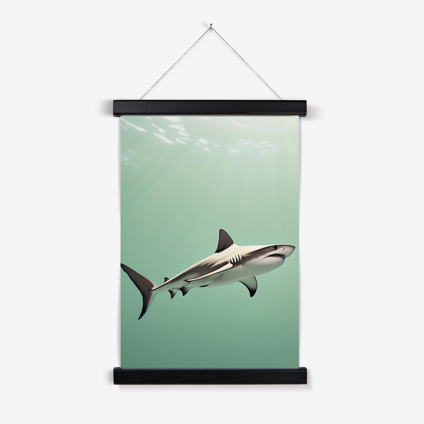 Shark - Animal Wall Art