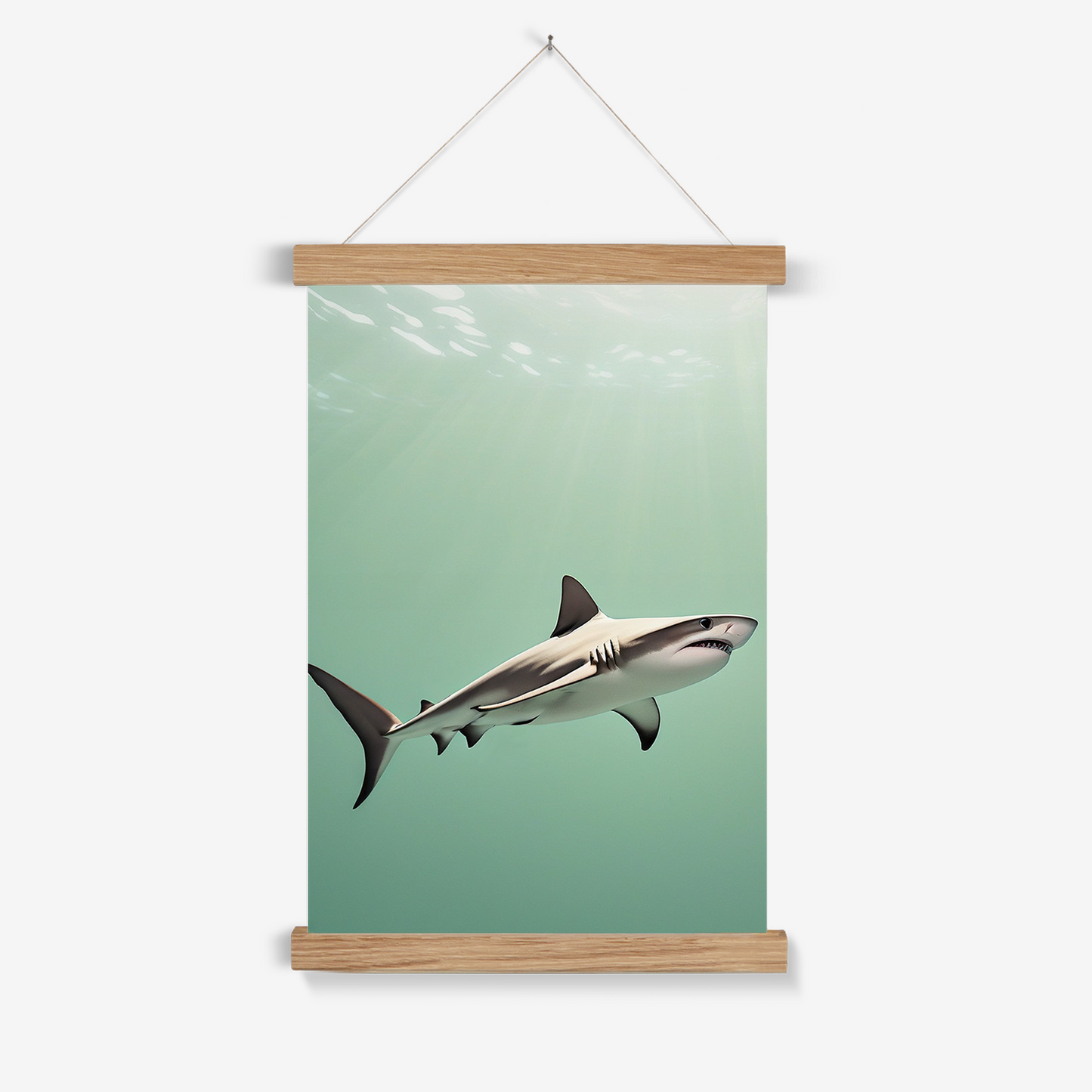 Shark - Animal Wall Art