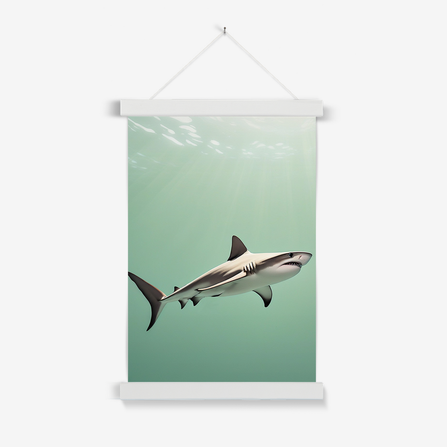 Shark - Animal Wall Art