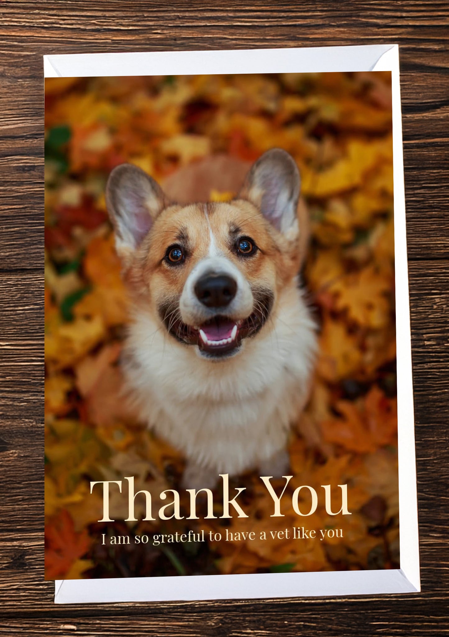 Thank you card for a vet